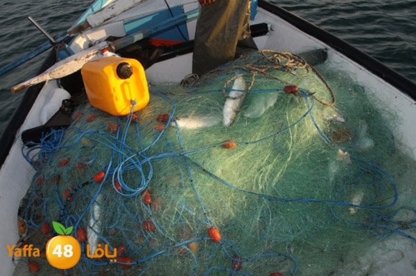 sayyadnewyaffa3 (5).JPG